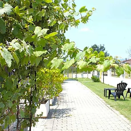Binja Fortuna Hotel 4*